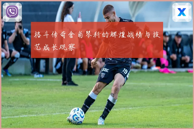 格斗传奇舍甫琴科的辉煌战绩与技艺成长观察
