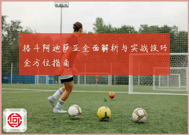 格斗阿迪萨亚全面解析与实战技巧全方位指南