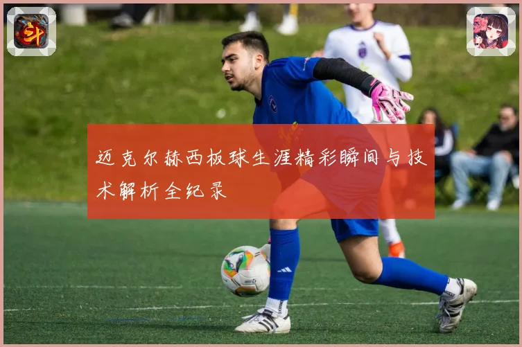 迈克尔赫西板球生涯精彩瞬间与技术解析全纪录