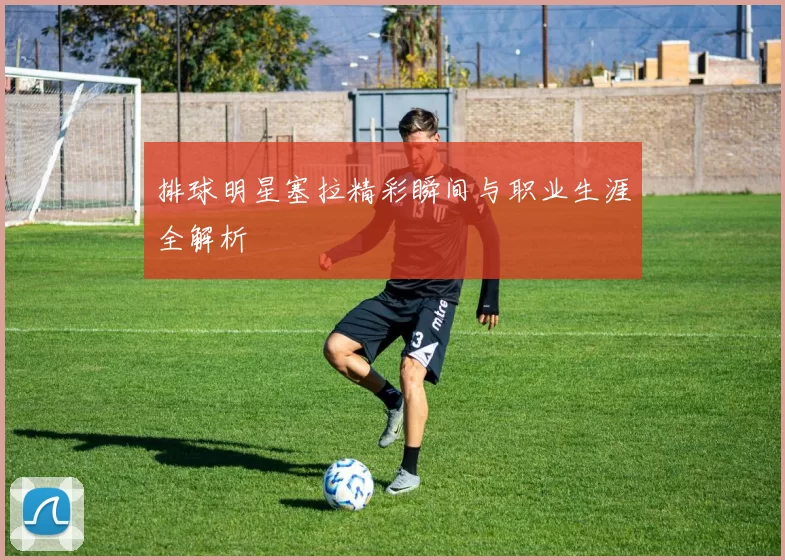 排球明星塞拉精彩瞬间与职业生涯全解析