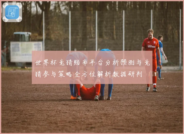 世界杯竞猜赔率平台分析预测与竞猜参与策略全方位解析数据研判