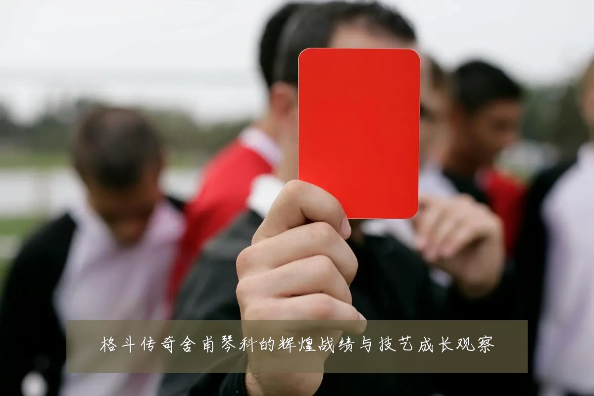 格斗传奇舍甫琴科的辉煌战绩与技艺成长观察